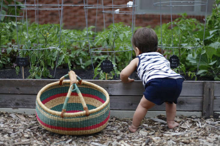 Photograph by Christine Chitnis, from Garden Visit: A Family Friendly Vegetable Garden (Chickens Optional).